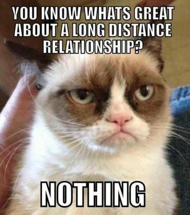 21 Best Grumpy Cat Memes And Funny Quotes About Love And Life Yourtango